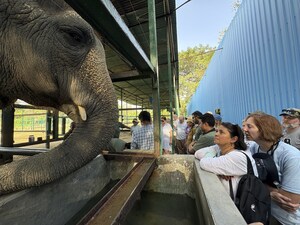 Wildlife SOS hosts first global elephant master class in India