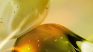 Eurofragance Perkenalkan Olivante®, Bahan Inovatif Terbaru untuk Parfum Premium