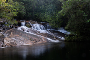 Parque das Neblinas comemora 21 anos de conservação e regeneração ambiental Parque das Neblinas comemora 21 anos de conservação e regeneração ambiental