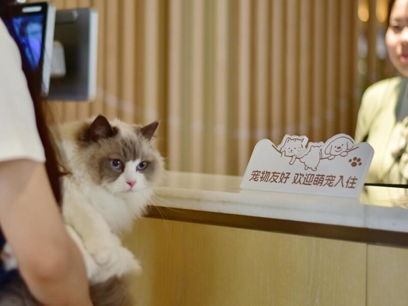 Unable to view the image, Please provide a valid URL.