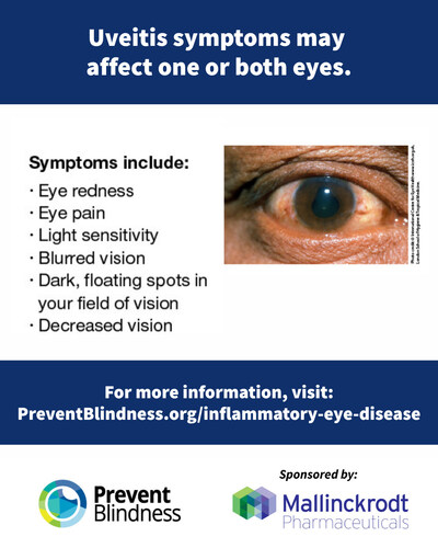 Prevent Blindness has declared Oct. 20-26, 2025, as its 5th Annual Inflammatory Eye Disease Week.
