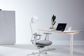 The Flexer Series is designed to provide all-day comfort