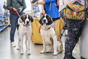Find Your BOO During PetSmart Charities of Canada National Adoption Week
