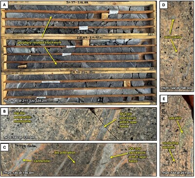 Figure 7. Core photos of TH25-144 and TH25-145. A. Box photos from hole TH25-145 from 211.3 to 224.2 meters down hole showing strong stockwork-controlled porphyry-related mineralization, B. porphyry-related quartz-chalcopyrite veins (A-type) with strong potassium feldspar halos cutting porphyritic monzonite from TH25-145 at 131.0 meters, C. porphyry-related quartz-chalcopyrite veins with local centerlines with strong potassium feldspar halos cutting biotite altered monzonite from TH25-145 at 156.0 meters, D. quartz vein clasts and wormy veins in intra-mineral biotite monzonite from TH25-144 at 198.3 meters, E. chalcopyrite-pyrite vein and fine quartz-feldspar veinlets cutting biotite porphyritic monzonite from TH25-144 at 251.0 meters. Abbreviations: qtz = quartz, cpy = chalcopyrite, bio = biotite, k-spar = potassium feldspar, plg = plagioclase. (CNW Group/Vizsla Copper Corp.)