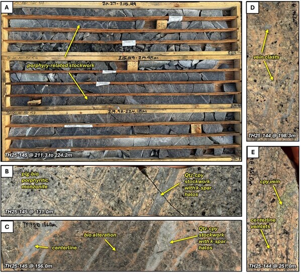 Unable to view the image, Please provide a valid URL.