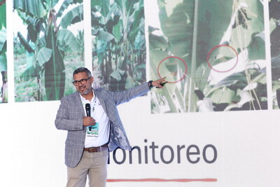 At Banana Time 2025, organized by the Association of Ecuadorian Banana Exporters (AEBE), the experts expressed confidence in the sector’s ability to face major threats, recalling successful cases such as the control of black sigatoka. At Banana Time 2025, organized by the Association of Ecuadorian Banana Exporters (AEBE), the experts expressed confidence in the sector’s ability to face major threats, recalling successful cases such as the control of black sigatoka.