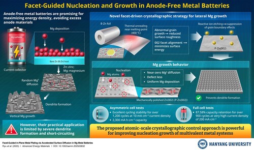 The researchers employ a facet-oriented Zn metal, with a physicochemically polished surface, minimizing surface energy and surface defects, leading to uniform, horizontal magnesium growth. This prevents dendrite formation and improves the stability of anode-free magnesium metal batteries.