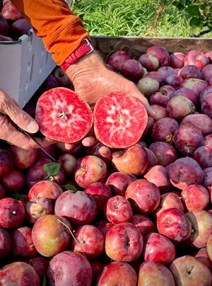 Tieton Cider Works and QFC Collaborate on Exclusive Broadway Rosé Cider - Launch at Flagship Seattle Store