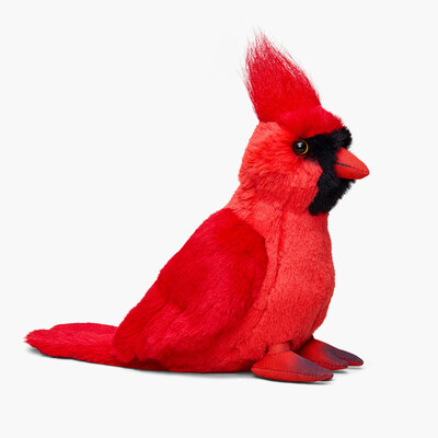 New cardinal symbolic adoption (CNW Group/World Wildlife Fund Canada)