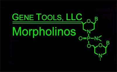 Gene Tools LLC