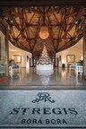 Holiday Tree