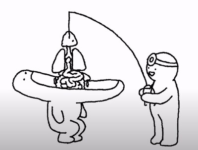 There is a goose in my head There is a goose in my head