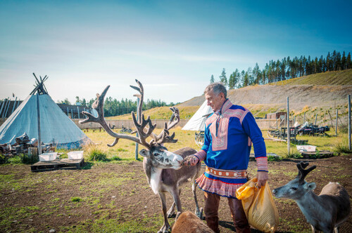 Reindeer