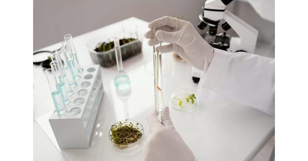 Peptide Patches: A Needle-Free Future for Wellness and Recovery?