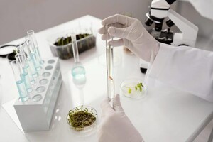Amino Innovations Develops Next-Generation Peptide Patch Platform to Redefine Everyday Wellness