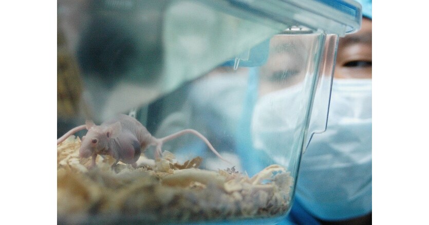 HanchorBios Novel CD47-SIRP&alpha; Therapeutic HCB101 Accepted for Publication in Prestigious Journal of Hematology & Oncology