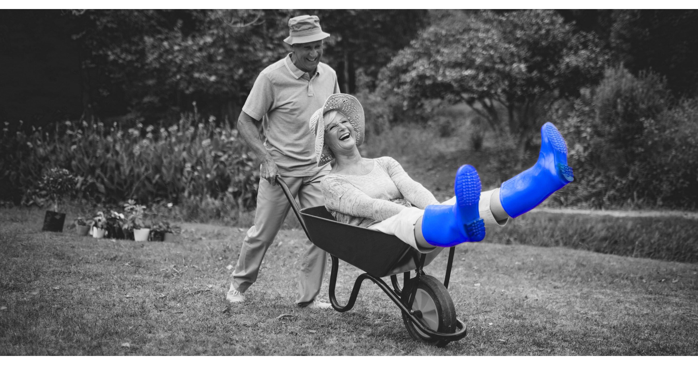 PLT and Nektium Announce New Clinical Study on Zynamite® S Ingredient ...