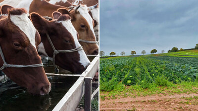 As water pollution incidents rise, Hydrachem is urging farms and food producers to strengthen water safety and hygiene protocols using proven measures such as Agrichlor. As water pollution incidents rise, Hydrachem is urging farms and food producers to strengthen water safety and hygiene protocols using proven measures such as Agrichlor.