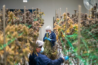 canna employment