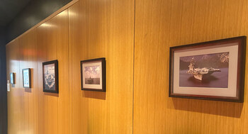 Historical photos from many Dorchester-built naval vessels.
