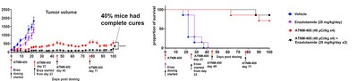 Potent and Durable Tumor Control, Increased Overall Survival and Synergistic Activity in Enzalutamide Resistant Prostate Cancer Potent and Durable Tumor Control, Increased Overall Survival and Synergistic Activity in Enzalutamide Resistant Prostate Cancer