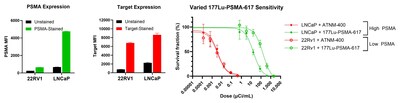 Potent Therapeutic Activity Independent of PSMA Expression Levels Potent Therapeutic Activity Independent of PSMA Expression Levels