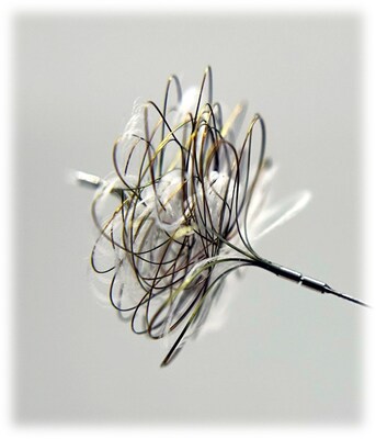 SCRUNCHY 0.027 microcatheter compatible