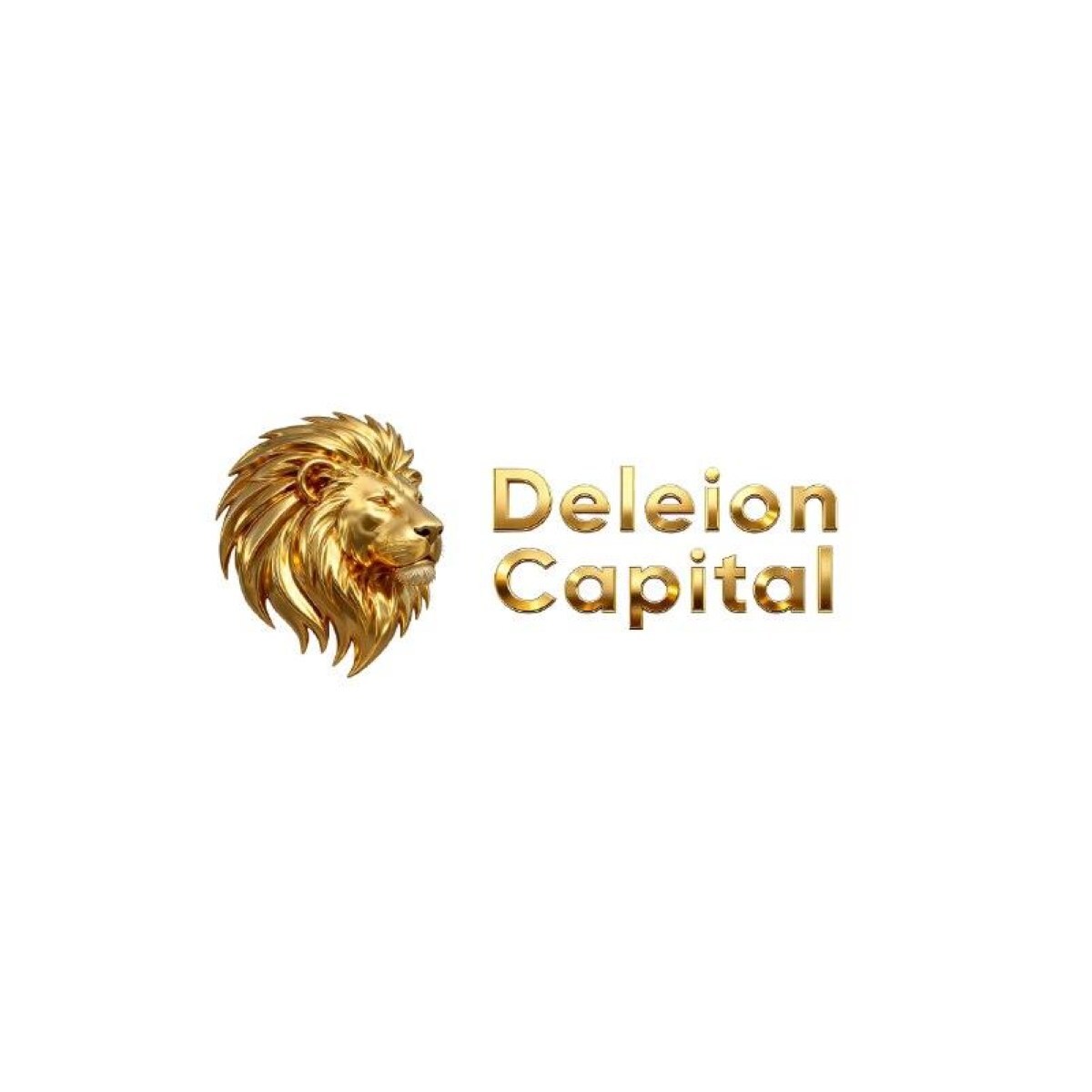 Logo DeLeion Capital