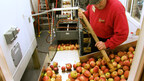 Fly Creek Cider Mill & Orchard