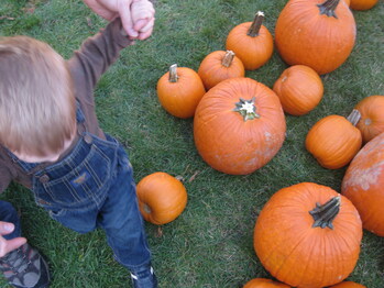Child walking in pumpkin patch