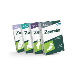 Há um ano no mercado, Zenrelia(TM), da Elanco, revoluciona o tratamento da coceira associada à dermatite atópica canina