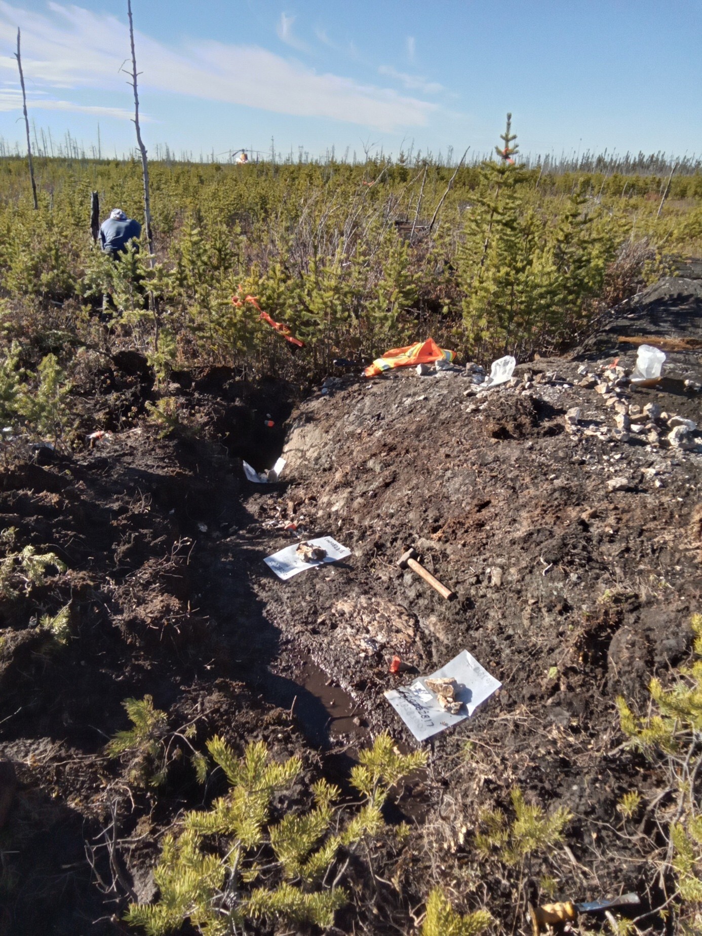 Figure 4 : New Mineralized Dyke (CNW Group/Comet Lithium Corporation)