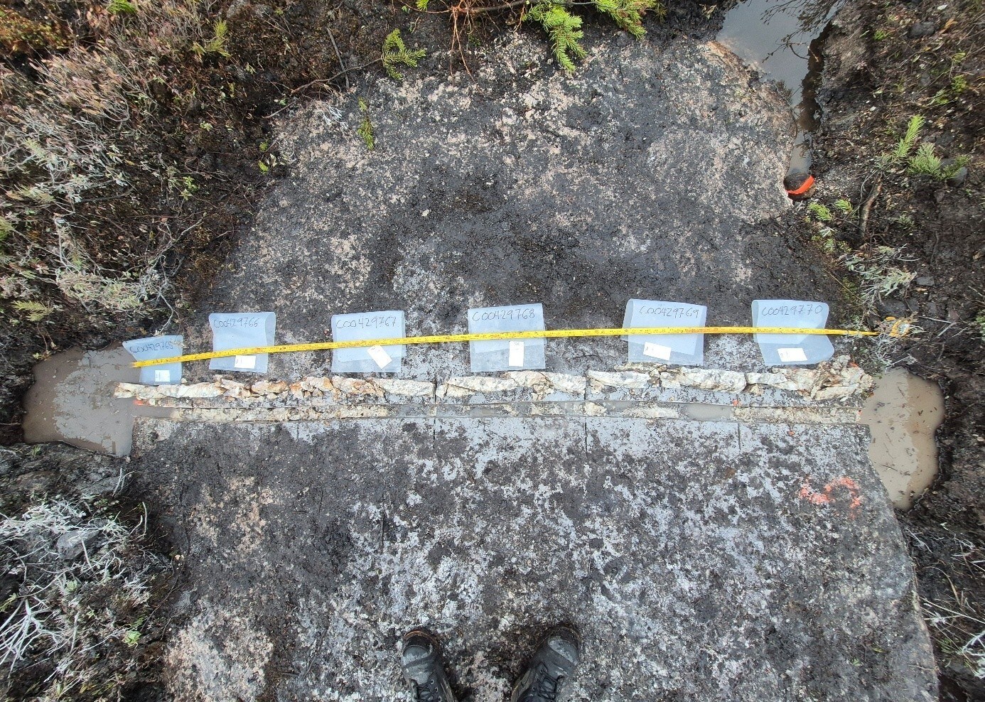 Figure 5 : East Outcrop – Channel Sample EE25-CH5 (CNW Group/Comet Lithium Corporation)