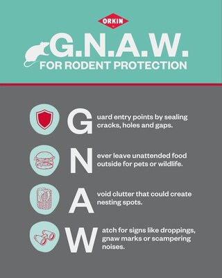 Orkin's GNAW acronym Orkin's GNAW acronym