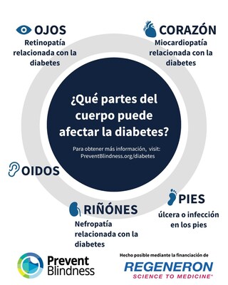 Prevent Blindness offers free educational resources, in English and Spanish, to the public on how to help protect vision from diabetes. Prevent Blindness offers free educational resources, in English and Spanish, to the public on how to help protect vision from diabetes.