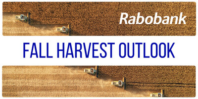 Harvest season is here, and Rabobank analysts dig into the markets, policies and pricing. Harvest season is here, and Rabobank analysts dig into the markets, policies and pricing.