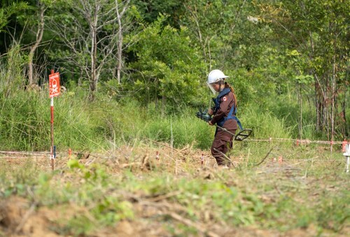 Removing landmines in an area predicted by AI in Cambodia (PRNewsfoto/NEC Corporation)