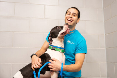 Royal Canin Waives Adoption Fees at Animal Care Centers (ACC) of NYC for National Animal Shelter Appreciation Week