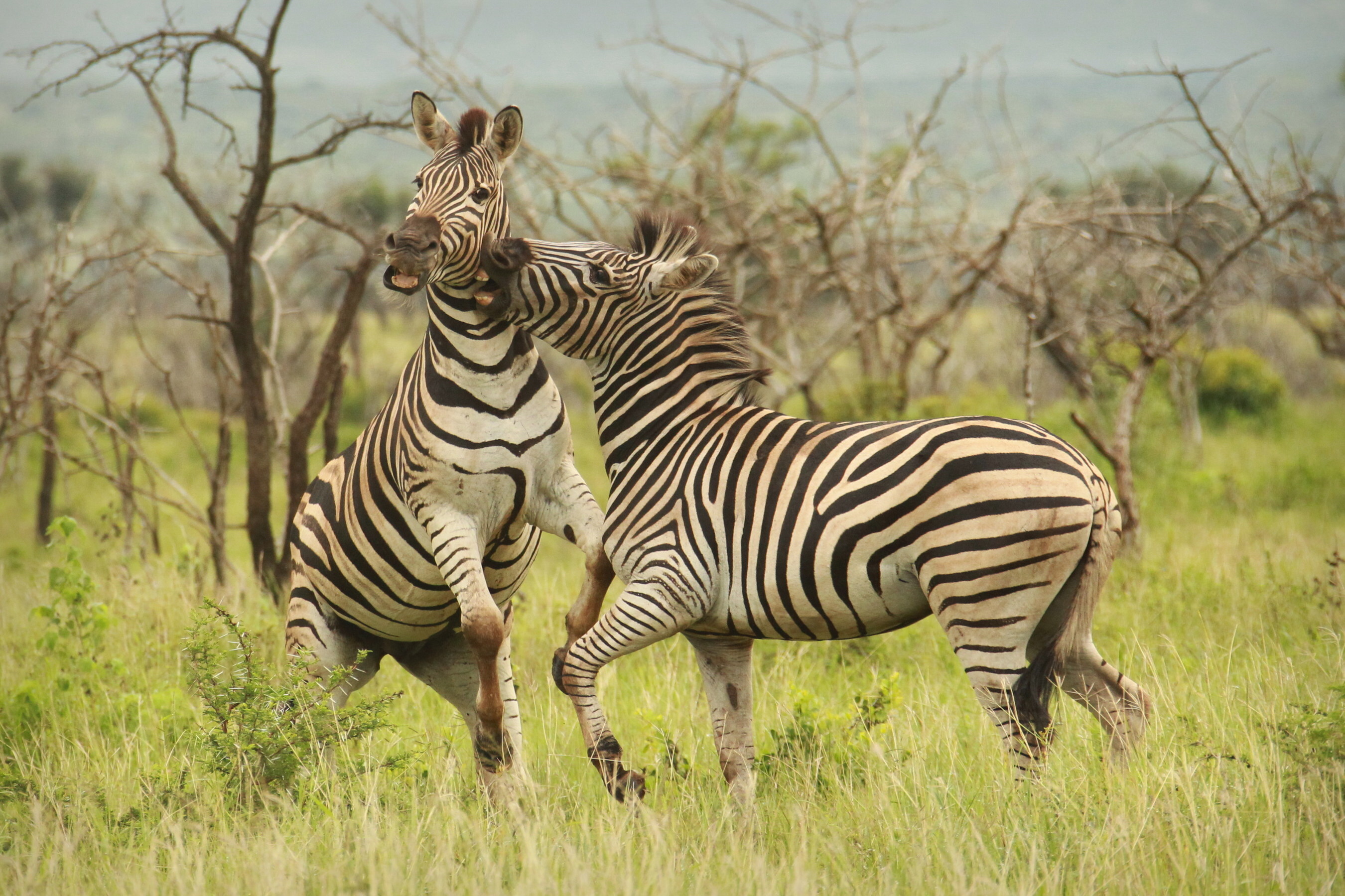 Frommer's Names Best Places to Go in 2026