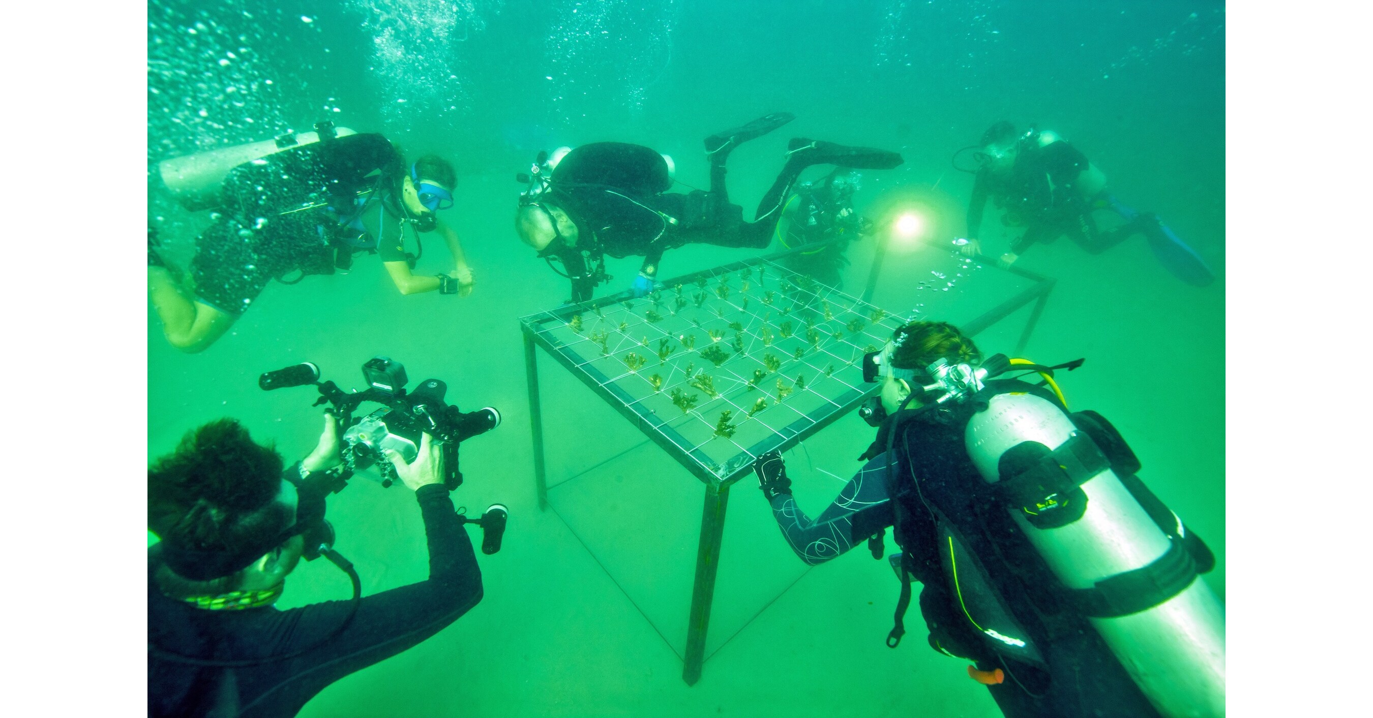 Canon's World Unseen 2.0 Dives Deeper with Project REEFrame to Protect UAE's Coral Reefs