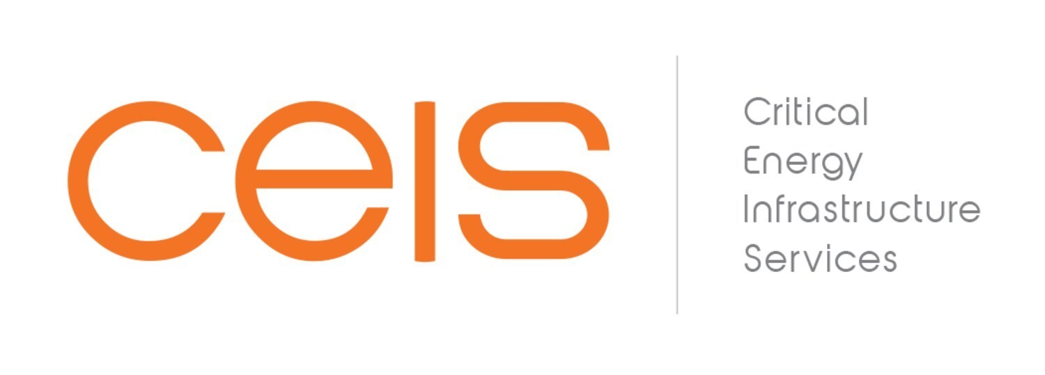CEIS APPOINTS Peter Monzon AS DIRECTOR OF CEIS | POWER CONSU