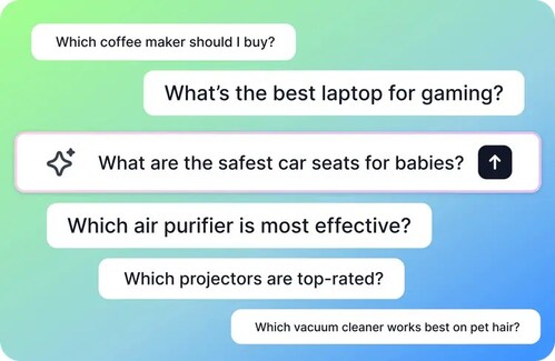 What are your customers' questions on AI platforms (GPT/Gemini/Perplexity)