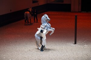 Abu Dhabi Royal Equestrian Arts, the World's Fifth School of Classical Horsemanship, Officially Opens Its Doors Abu Dhabi Royal Equestrian Arts, the World's Fifth School of Classical Horsemanship, Officially Opens Its Doors