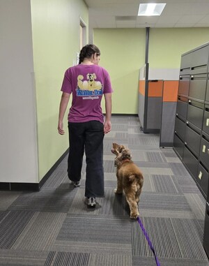 Groundbreaking Canine Detection Trial Confirms Ability to Isolate Odor of Invasive Golden Mussel Veligers