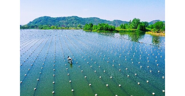 CCTV+: Deqings Pearl Path: GIAHS Pride and Promise