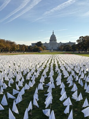 Flags over DC in front of the Capitol