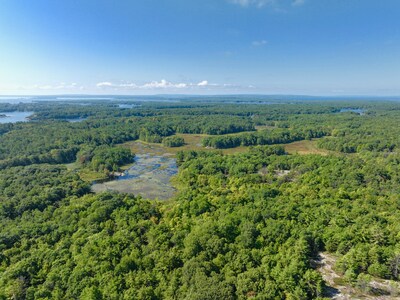 The proposed Honey Harbour Nature Reserve would protect 365 acres of pristine forests, wetlands, and shoreline, forever. (CNW Group/Georgian Bay Land Trust) The proposed Honey Harbour Nature Reserve would protect 365 acres of pristine forests, wetlands, and shoreline, forever. (CNW Group/Georgian Bay Land Trust)