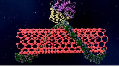 Zymosense Launches the Nanoassay™: The Next Generation of Enzyme Measurement