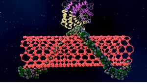 Zymosense Launches the Nanoassay™: The Next Generation of Enzyme Measurement