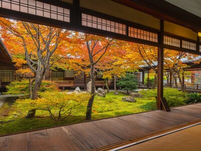Kennin-ji Temple, famed for its autumn colors, is a 7-minute walk from the hotel. Kennin-ji Temple, famed for its autumn colors, is a 7-minute walk from the hotel.